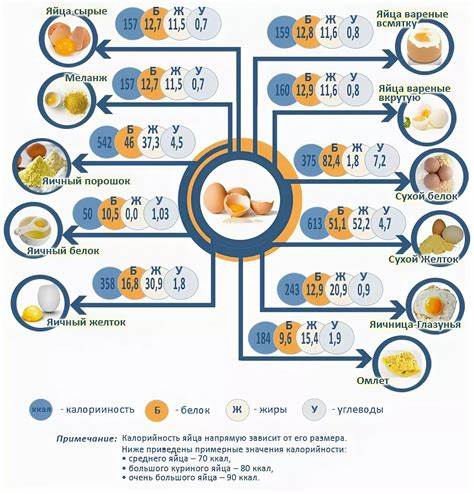 Шаурма вечером при диете