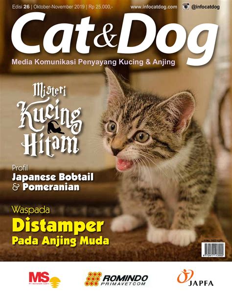 Jangan lupa vaksin kucing kesayangan anda times indonesia www.timesindonesia.co.id. Harga Vaksin Kucing Di Klinik Kerajaan 2020