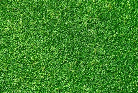 Green Grass Hd Grass Background Grass Textures Grass Wallpaper