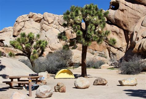 9 Best Campgrounds In Joshua Tree National Park And Camping Details