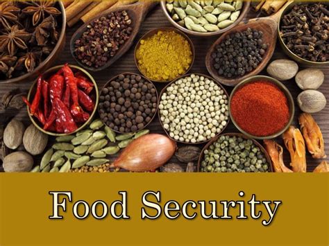 What does healthy food security look like? Food Security