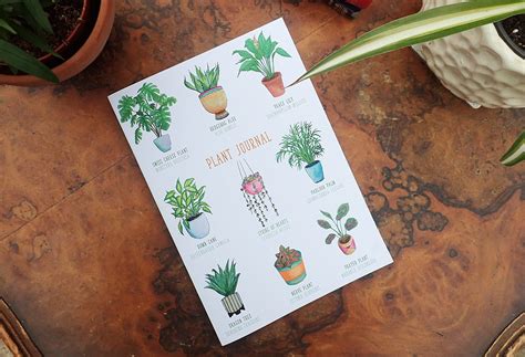 Plant Journal For Houseplant Care A5 Lined Notebook For Succulents