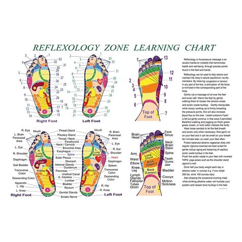 Acupressure And Reflexology Chart For The Feet In Tabla De Reflexología