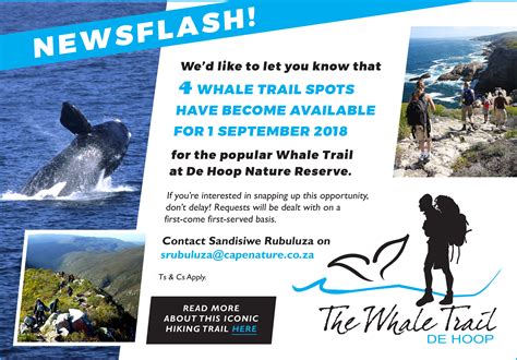 Whale Trail 4 Spots Open 1 September The Hiking South Africa Forum