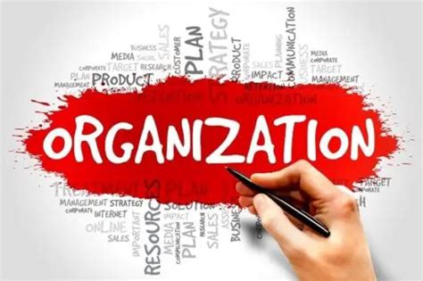 Organization Management Meaning Need And Its Features Management