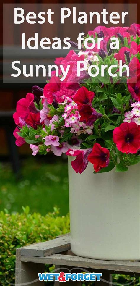 Best Porch Planter Ideas Flowers For Sun And Shade