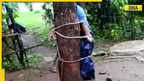 Rajasthan Woman Tied To Tree Brutally Thrashed Over Suspicion Of