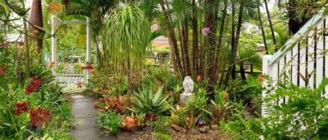 A Tropical Brisbane Garden Wonderland Tropical Garden Tropical