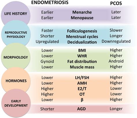 Diametric Phenotypes Between Endometriosis And Polycystic Ovary Download Scientific Diagram