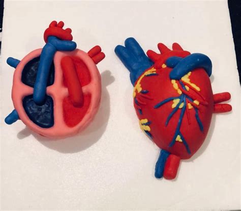 Two Cakes Shaped Like The Human Body And Heart