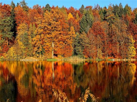 14 Amazing Places To See The Autumn Leaves In Europe Lazytrips