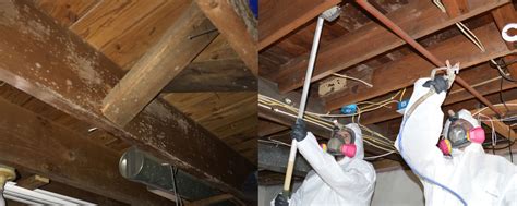 Basement Mold Removal Nj Professional South Jersey Mold Removal