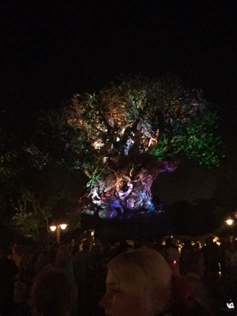Tree Of Life Awakens Living A Disney Lifeliving A Disney Life