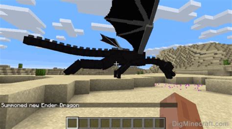 minecraft ender dragon in the overworld