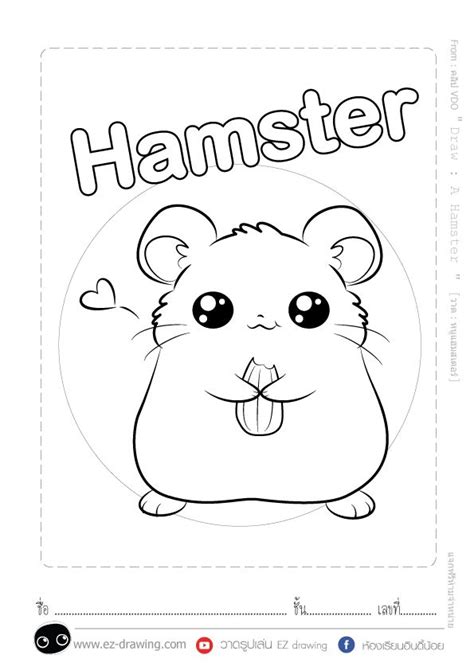 Draw A Hamster วาด หนูแฮมสเตอร์ หนูแฮมสเตอร์ สมุดระบายสี ภาพ