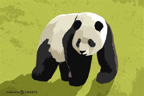 Panda Bär Illustration Design Vektor Download