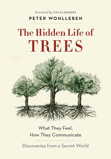 The Hidden Life Of Trees What They Feel How They Communicate
