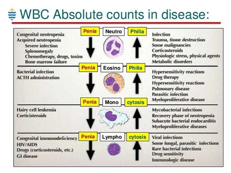 Pathology Of Wbc Disorders