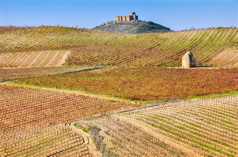 Rioja Wine Region Spain Winetourism