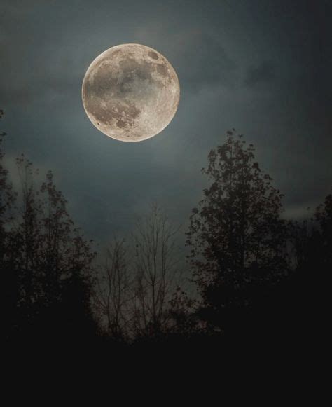 100 Idées De Glorious Moon Clair De Lune Magnifique Lune Paysage