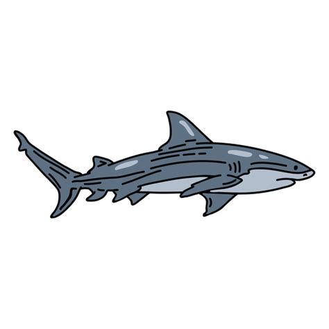Shark Fish Cartoon Transparent Png Svg Vector File Images