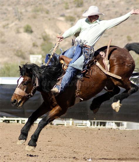 Rodeo Bucking Bronc Rider Editorial Photography Image Of Championship