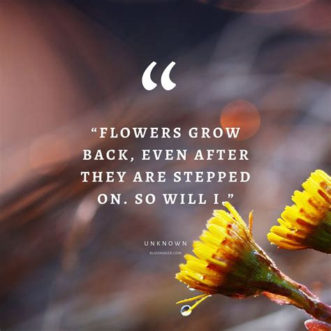 55 Inspirational Flower Quotes - Beautiful Motivational Sayings with