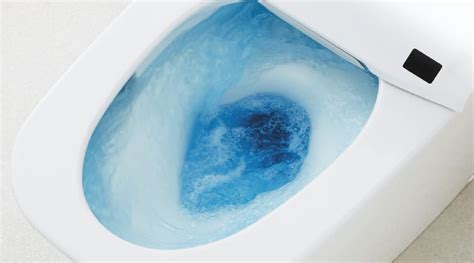 Before you repair a toilet, you'll need to properly diagnose the toilet float: How To Flush A Toilet Without Water: Our Emergency How-To's