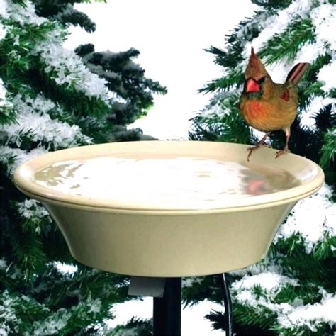 How to choose a whirlpool bathtub. Heated Bird Bath Menards | AdinaPorter