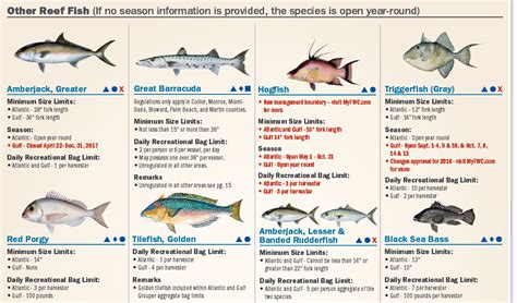 √ Florida Recreational Saltwater Fishing Regulations