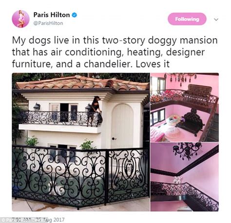 Paris Hilton Shows Off Her Two Story Doggy Mansion Daily