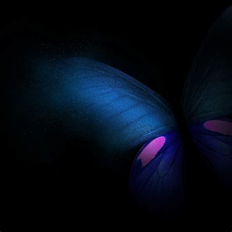 Butterfly Samsung Galaxy Fold Stock 4k Wallpapers Hd Wallpapers Id