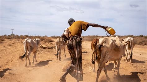 Severe Drought In Ethiopia Threatens Lives And Livelihoods Of Millions