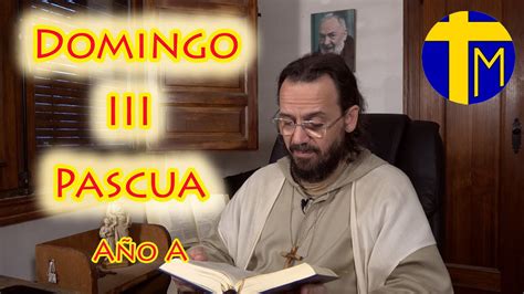 Actualizar 39 Imagen Evangelio Del Dia Padre David Caja Abzlocalmx