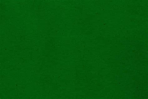 Green Paper Dalia Lourenço