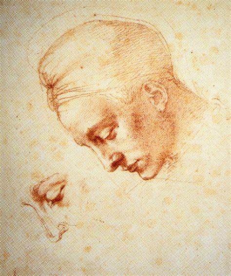 Michelangelos Drawings Anatomy Of A Genius Hubpages