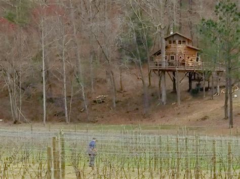 Bear Claw Vineyards And Blue Ridge Treehouse