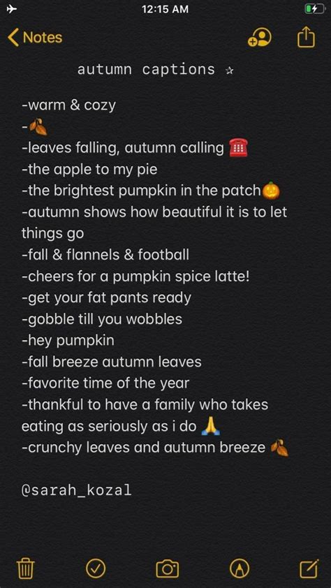 100 Autumn Captions For Instagram In 2022 Witty Instagram Captions