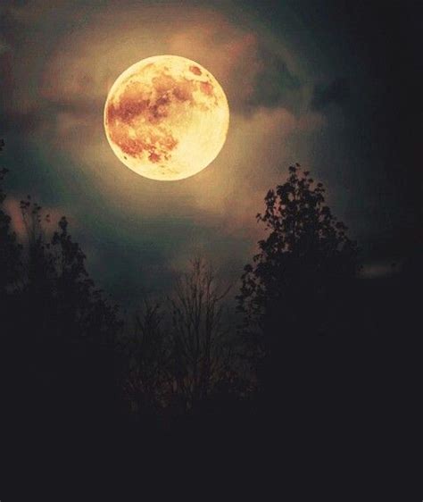 Pin De Sark Sara Em Moon Inspiration Noites De Luar Fotos Da Lua