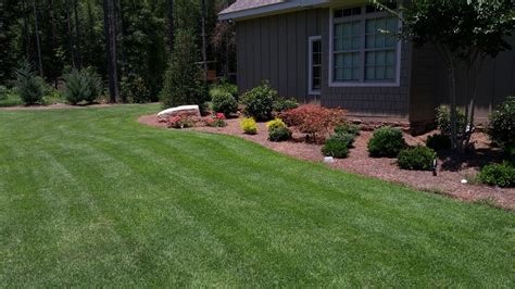 How to grow a successful zoysia lawn. Amazon.com : Zenith Zoysia Grass Seed (2 Lb.) 100% Pure Seed Grown by Patten Seed Company : Home ...