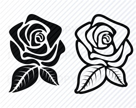 Silhouette SVG Flower SVG Rose SVG Files For Cricut Png Roses Clipart Floral Eps Pdf Dxf