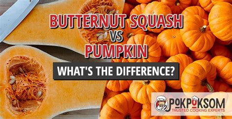 Butternut Squash Vs Pumpkin Whats The Difference