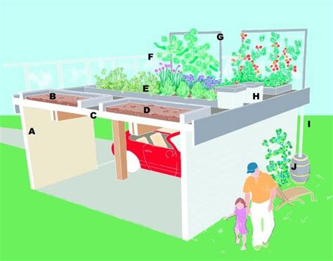 Grow Up Build An Edible Rooftop Garden Garden Therapy Rooftop