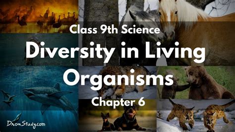 Diversity In Living Organisms CBSE Class 9 IX Science In English