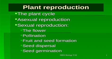 Drm Biology Y10 1 Plant Reproduction The Plant Cycle Asexual Reproduction Sexual Reproduction