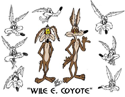 Wile E Coyote Model Sheet By Matthewhunter On Deviantart Looney