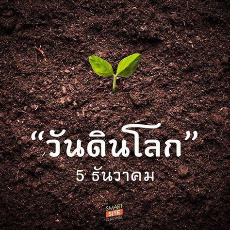 เรียน มูลนิธิกสิกรรมธรรมชาติ