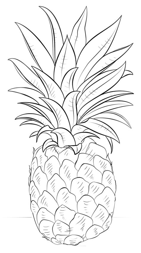 Https://wstravely.com/coloring Page/adult Coloring Pages Of Pineapple