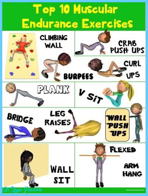 Exercise To Develop And Maintain Muscular Strength And Endurance