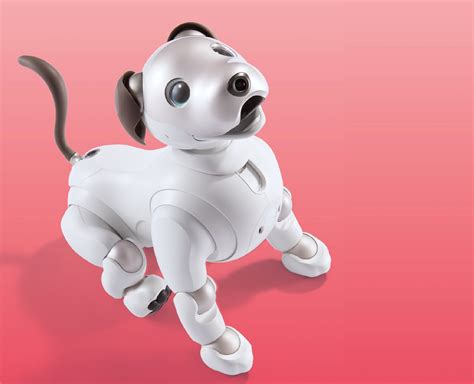 Sony Aibo Robot Dog Thú Cưng Robot Hấp Dẫn Đang Làm Mưa Làm Gió